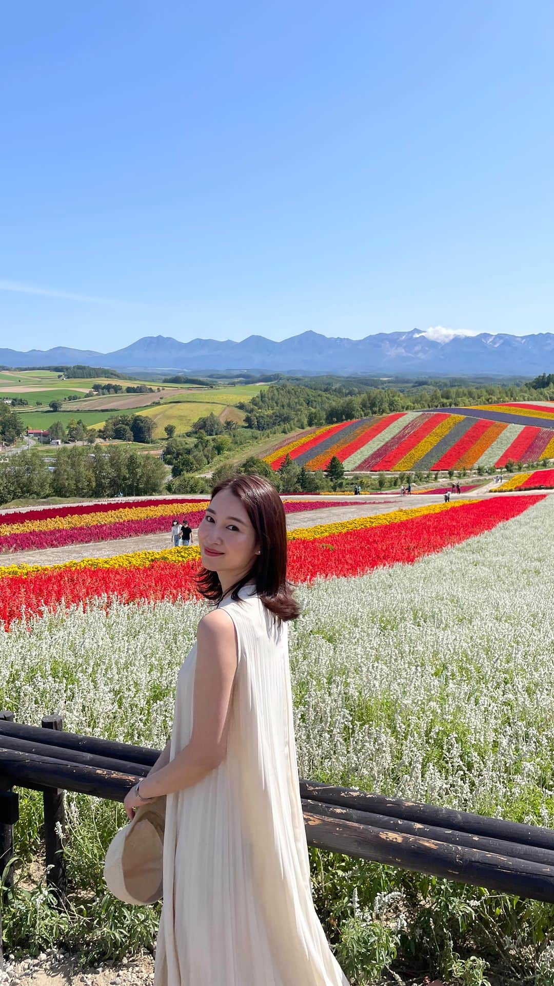 のインスタグラム：「北海道旅行記「四季彩の丘編」🌻🐝  大自然の山々の中に一面綺麗なお花畑で絶景でした🌞 こんなに綺麗に咲いているお花畑は初めてでした✨  iPhoneのノーマルカメラで動画を撮って 加工なしでこの色合いの美しさです…👏🏻✨ これは本当にすごい綺麗…😭 お花好きな方はぜひ行ってみてほしいスポット🌷  #四季彩の丘 #四季彩の丘アルパカ牧場 #お花畑 #北海道旅行 #北海道旅行記 #北海道旅行✈️ #美瑛 #美瑛町 #美瑛観光」