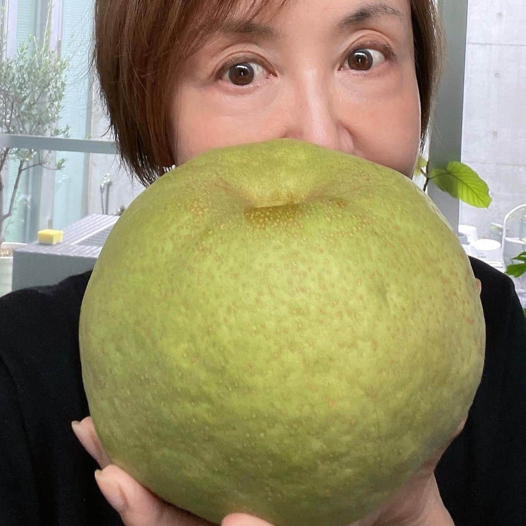 奈美悦子のインスタグラム：「千葉のお友達から大きな梨を頂きました。重い😄😄😄ありがとうございました。#梨 ＃大きい#千葉 #千葉＃梨好き＃美味しい＃重い#ドッシリ #ジューシー」