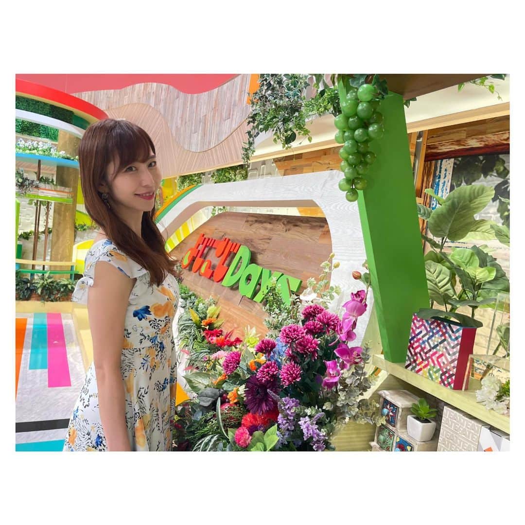 塩地美澄のインスタグラム：「テレビ東京『よじごじDays』のロケに 久しぶりに参戦してきました!  来週はスタジオにも 生出演させていただきます！！  ✅8/26イメージDVD「艶やか美」発売 ※お渡し会を10/9に開催予定です  ✅9/16写真集『瞬間（とき）』発売 ※プロフィール欄から購入できます #塩地美澄」