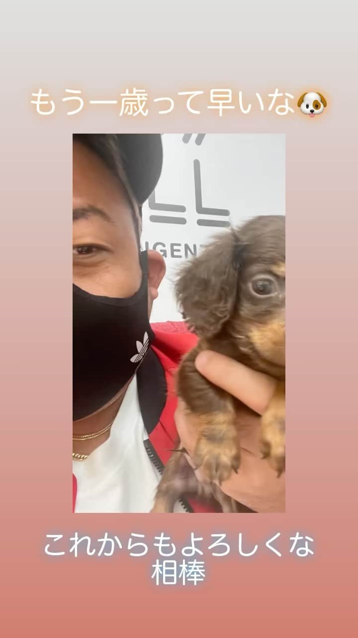 世界のアディ男のインスタグラム
