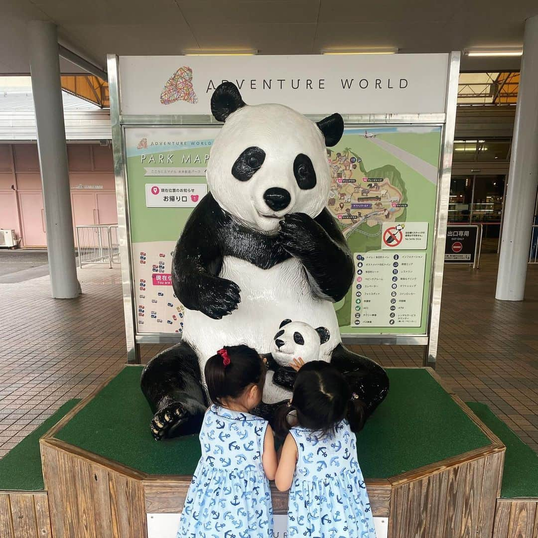 岡村仁美さんのインスタグラム写真 - (岡村仁美Instagram)「遅めの夏休みで南紀白浜へ。  アドベンチャーワールドはパンダに会えるだけでなく、イルカに餌やりを出来たりショーも豊富だったりと子どもたちは大喜び。  一番興奮していたのは、パンダのメリーゴーラウンドでしたが。。  南紀白浜は観光エリアも広くなく、移動が大変な２歳児二人連れての旅行にはぴったりでした！ 大人は新鮮な海鮮に大満足。  #夏休み #南紀白浜 #パンダ #双子連れ旅行」9月23日 23時37分 - hitomi_okamura_