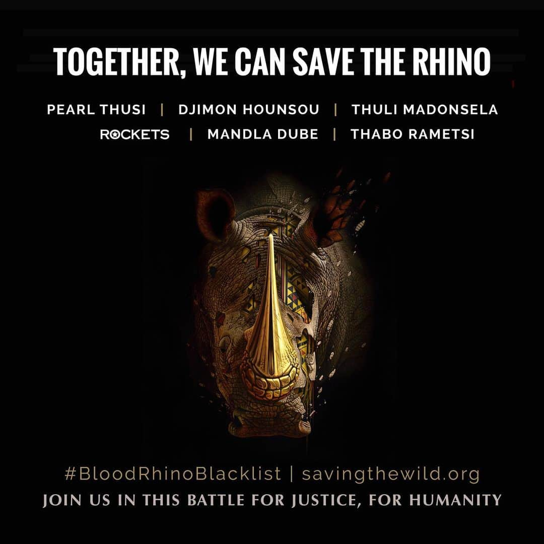 ジャイモン・フンスーさんのインスタグラム写真 - (ジャイモン・フンスーInstagram)「Saving the Wild, in its fight against #rhino #poaching, met senior US Treasury officials in Washington DC to seek #sanctions against certain SA court officials.  With the Djimon Hounsou Foundation (DHF), it pleaded with Ramaphosa regarding Court President Nzimande, who Sunday Times Premium has previously reported has been receiving his R1.4 million salary since his October 2018 suspension four years ago.  Nzimande, who is allegedly linked to a rhino poaching kingpin, was suspended for misconduct and faces 112 charges.   “The Magistrates Commission and the National Prosecuting Authority have used every trick in the book to delay prosecution of these corrupt justice officials, while the Ministry of Justice claims it cannot interfere. It is an amazing disgrace,” said Jamie Joseph, Saving the Wild director.   “Being quiet is being complicit to the crime,” said actor, producer and humanitarian Djimon Hounsou. “Certain politicians are acting on personal interests with total disregard for human rights and the people of SA, and a natural heritage that must be protected. Enough with inertia. Let justice be done.”  Actor Pearl Thusi also joined the fight against rhino poaching, saying: “We owe it to future generations to find a way to share this planet in a sustainable way for all life.”  #BloodRhinoBlacklist #WorldRhinoDay  Read the full article on Saving the Wild.」9月24日 0時08分 - djimon_hounsou