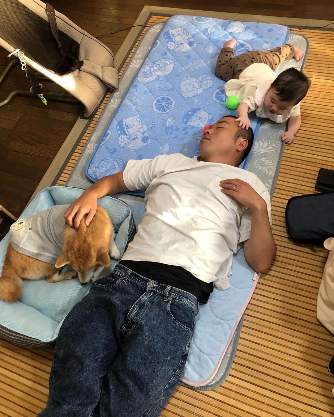 宇都宮まきのインスタグラム：「これも僕のボール？🎾」