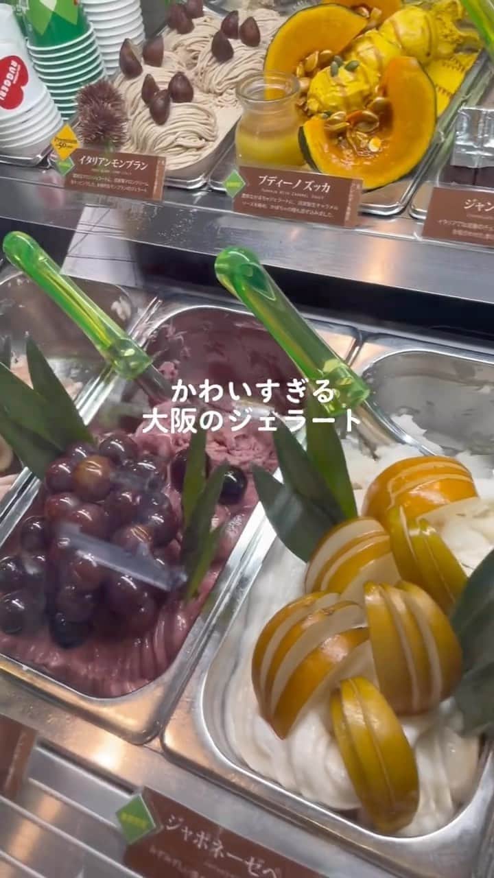 ぐちチャンネルのインスタグラム