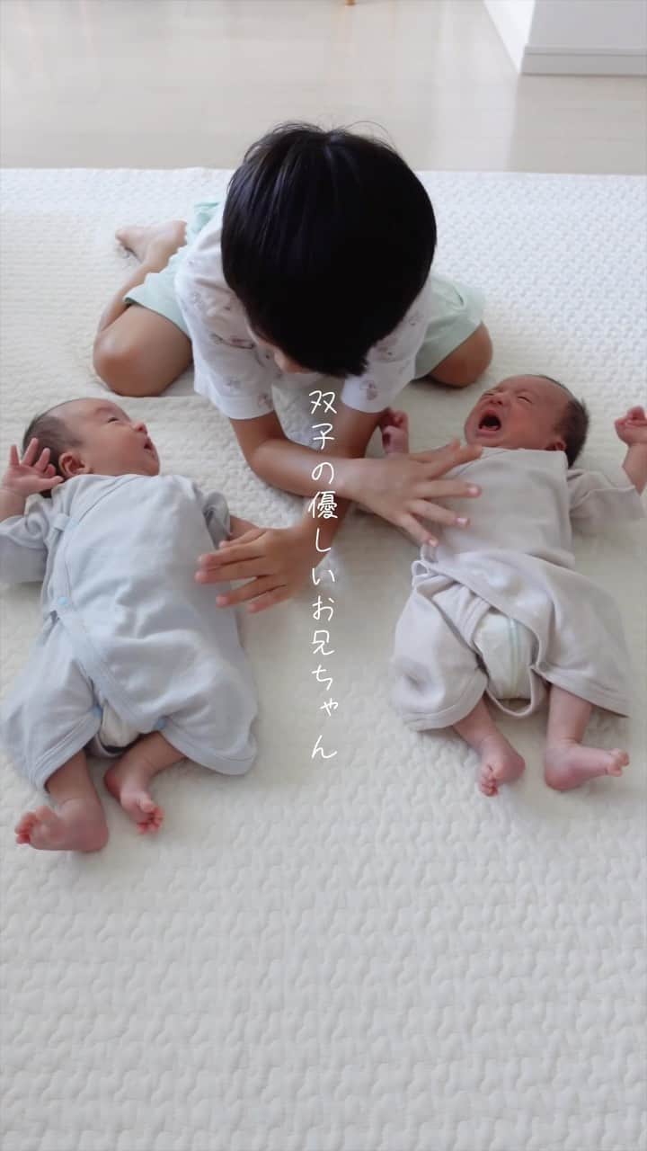 SHOGのインスタグラム：「殴るの禁止だよ☺︎ あおそらのけんかを仲裁  ひなたのおかげで いつの間にかけんかが終わってる  いつまでも2人の優しい お兄ちゃんでいてね☺︎☺︎  #あおそら #にぃに愛 #親バカ #親バカ部  #双子 #赤ちゃん #７月生まれ #令和４年ベビー #男の子ベビー #生後1ヶ月 #赤ちゃんのいる生活 #赤ちゃんのいる暮らし #双子育児 #双子ベビー #ツインズ #ママリ #ママリツインズ #ベビスタグラム #コドモノ #twins #twinlife #twinbabies #twinboys #baby #babyboy #ig_baby #twinsbaby  #たれまゆちゃん」