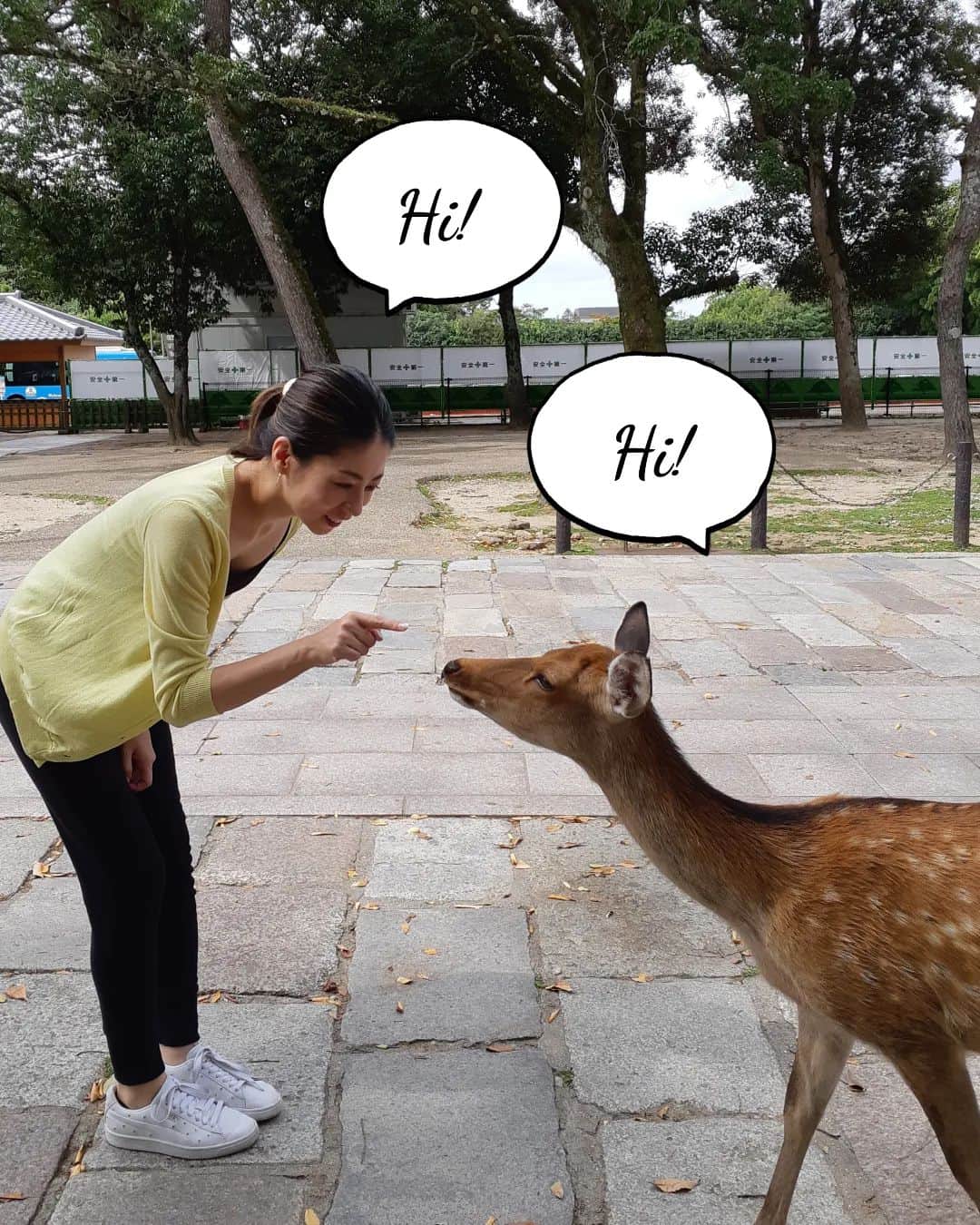 のインスタグラム：「“Nara Trip”🦌 . 台風に負けず 奈良旅行に行ってきました🤎 . 奈良の人は とっても穏やかで優しい。 時間の流れもゆっくりで また癒されに行きたい とても素敵な場所でした！ . #黒坂真美 #kurosakamami  #trip #nara #japan #旅行 #奈良 #日本  #世界文化遺産 #国宝 #東大寺 #大仏 #鹿 #茶粥 #🇯🇵 #🦌」