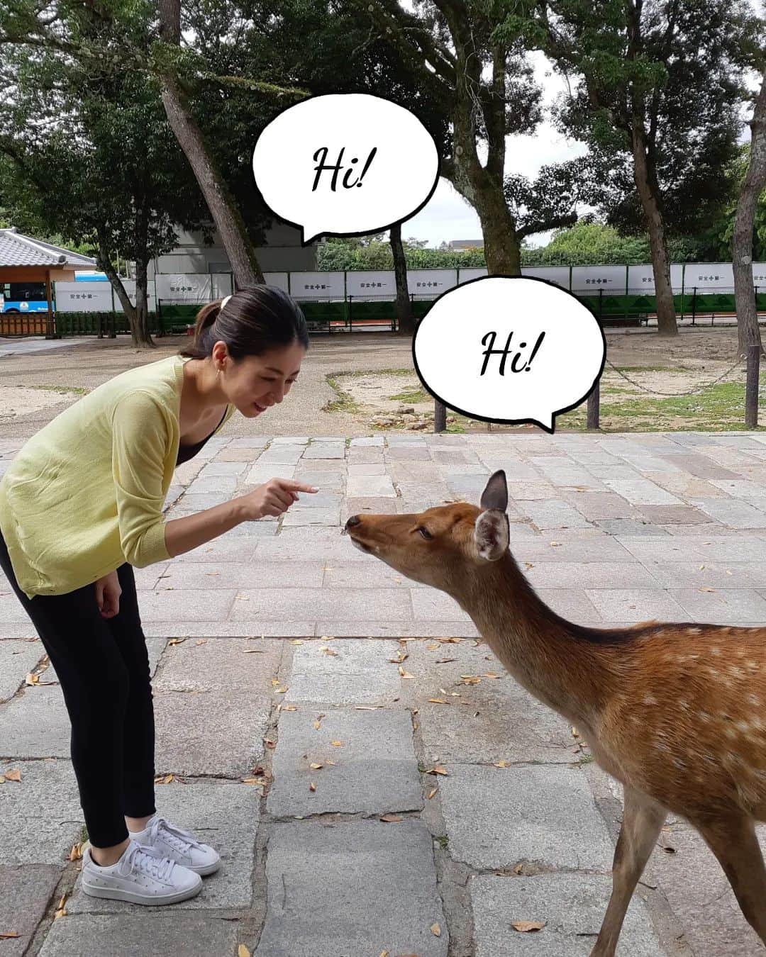 黒坂真美のインスタグラム：「“Nara Trip”🦌 . 台風に負けず 奈良旅行に行ってきました🤎 . 奈良の人は とっても穏やかで優しい。 時間の流れもゆっくりで また癒されに行きたい とても素敵な場所でした！ . #黒坂真美 #kurosakamami  #trip #nara #japan #旅行 #奈良 #日本  #世界文化遺産 #国宝 #東大寺 #大仏 #鹿 #茶粥 #🇯🇵 #🦌」