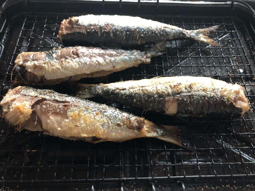 石塚啓次のインスタグラム：「デカイ鰯を焼いて大根おろしで目つぶって秋刀魚をイメージして食ったら　ほぼ秋刀魚！ ２日連チャン！8尾で€5！ ホンマもん食いたい！  #石塚啓次 #YouTube #宵宵祇園  #yoiyoigion  #ブエナビスタデポルテ #buenavistadeporte #バルセロナ」