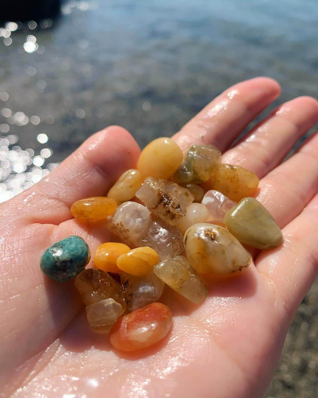 きさのインスタグラム：「おお😭  #beachcombing #iloveshelling #shell #shellcollectors #beachcombingclub #beachcombingfinds #beachcombers #seaglass #seaglassofinstagram #seaglasslove #japanesesea #japaneseseaglass #japaneseshell #beach #seashells #きいちゃんと貝」