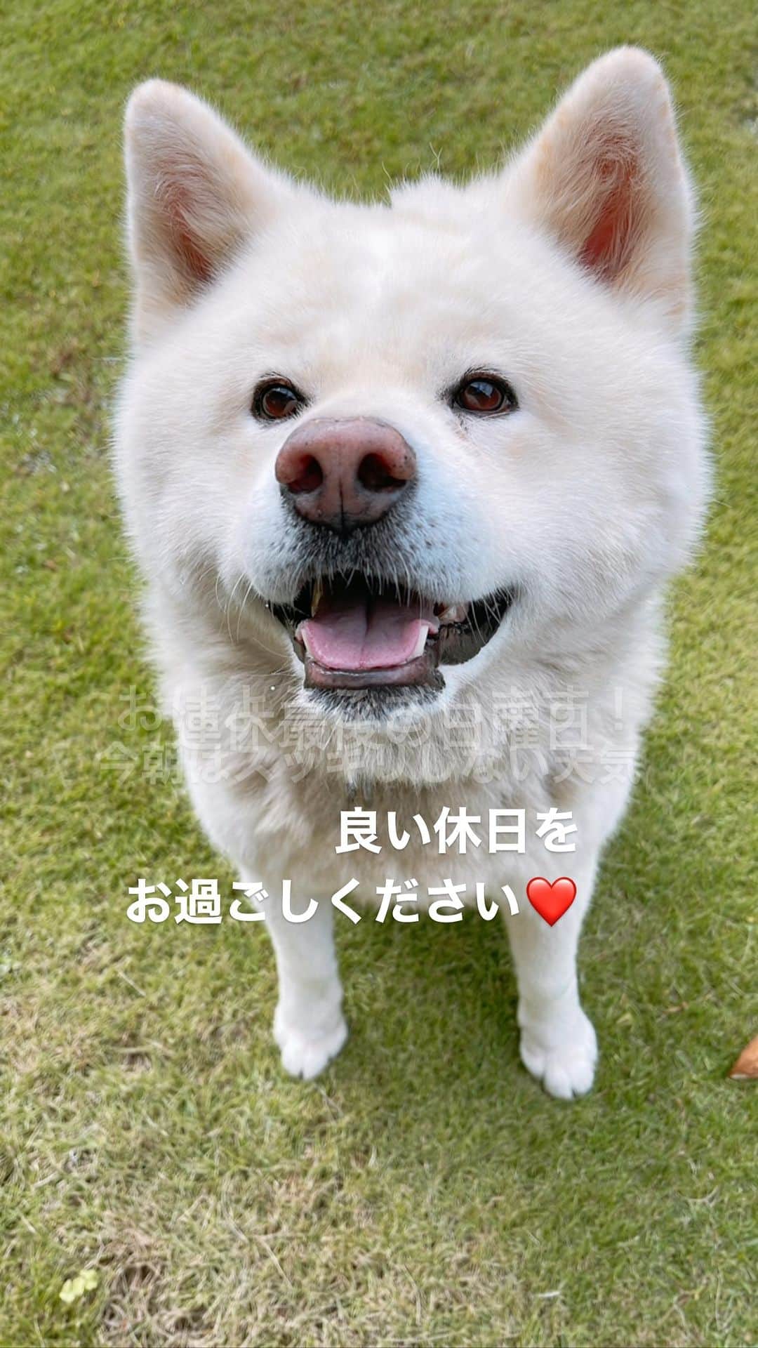 水谷雅子のインスタグラム