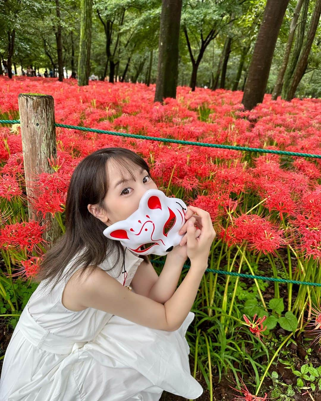 浜田由梨のインスタグラム：「ずっとみたかった彼岸花🪷 ほんとにすっごい綺麗だった💜 雨降ったりやんだりだったので、白ワンピが土だらけに..笑☔️  #彼岸花 #彼岸花ポートレート #巾着田 #巾着田曼珠沙華公園 #巾着田曼珠沙華まつり #巾着田曼珠沙華まつり2022 #ポートレート #ポートレート女子 #japanesegirl #ノースリーブワンピース #白ワンピ #夏の終わり #flowerstagram #狐面」