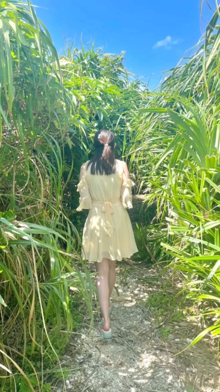 坂口莉果子のインスタグラム：「🇯🇵Yonaguni island ・ ・ ・ #japan #okinawa #yonaguni #beautifulview #beach #travelreels #horses #summer #japanesegirl #japanisland  #沖縄 #海 #旅行 #夏 #日本 #沖縄旅行 #instagood #シーサー #馬 #乗馬 #ヨナグニウマ  #ちまんま広場 #ナーマ浜 #六畳ビーチ #四畳ビーチ #海底遺跡 #与那国島 #日本最西端 #日本最西端の島 #女子旅」