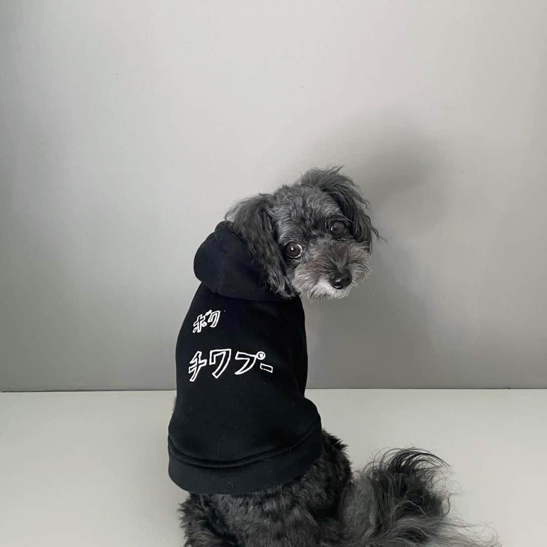 鈴木凪沙のインスタグラム：「今年はブラック🖤」