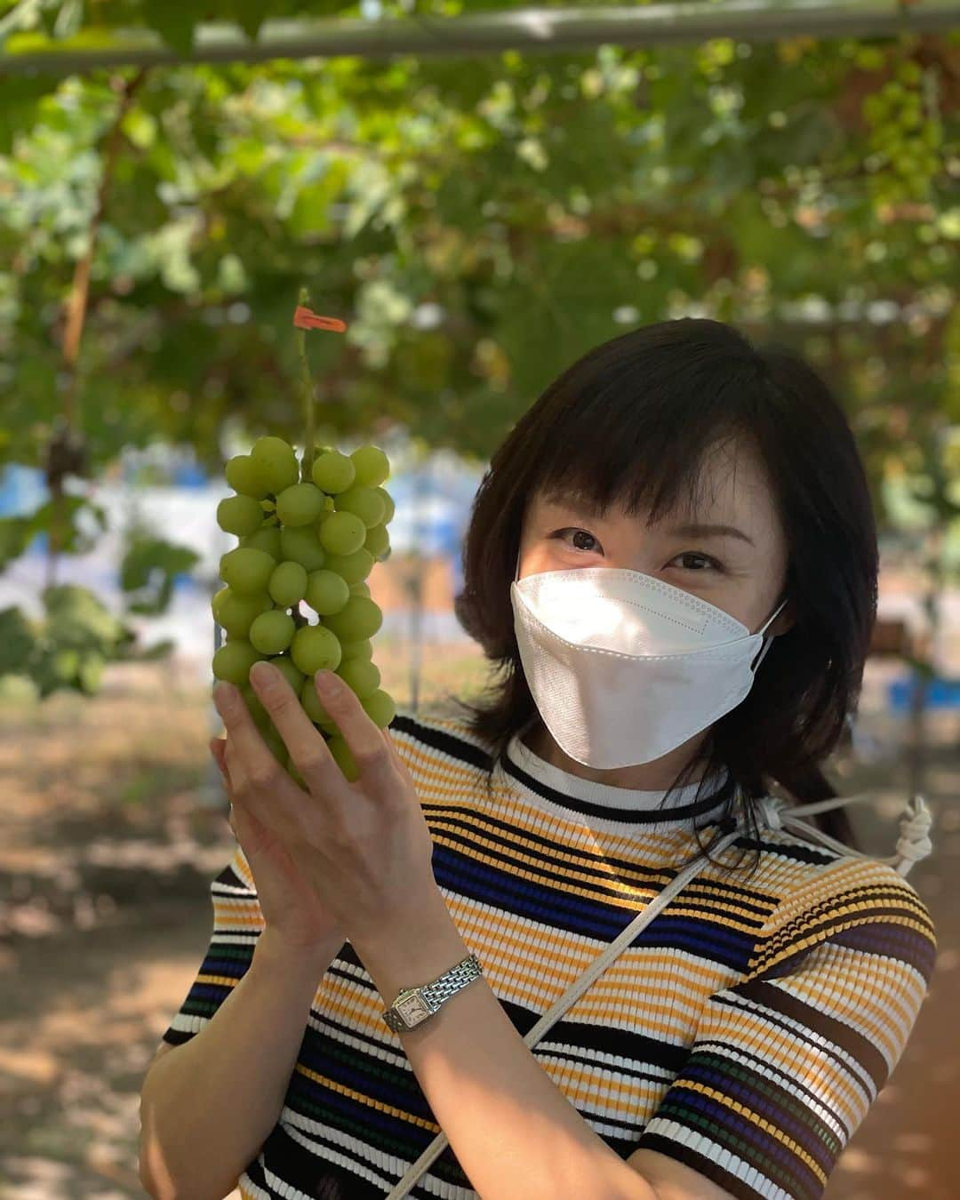 山口もえさんのインスタグラム写真 - (山口もえInstagram)「・  友達家族とブドウ狩りに行ってきました🍇 若木（3年目）の初摘みの縁起ものです 大切に育てられたブドウは ビックリするほど味が濃くて甘くて香りが良い✨ 食欲の秋到来です♡♡♡  #ブドウ狩り#🍇 #フルタイムファーム #見沼 #食欲の秋 #お弁当 もって #ピクニック もしたよー🍙」9月26日 19時58分 - moe_yamaguchi0611