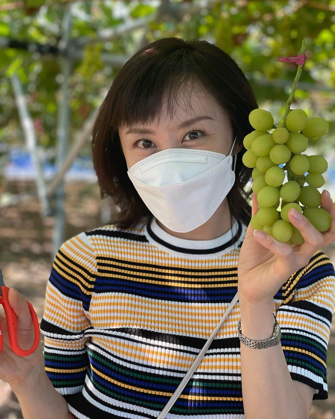 山口もえさんのインスタグラム写真 - (山口もえInstagram)「・  友達家族とブドウ狩りに行ってきました🍇 若木（3年目）の初摘みの縁起ものです 大切に育てられたブドウは ビックリするほど味が濃くて甘くて香りが良い✨ 食欲の秋到来です♡♡♡  #ブドウ狩り#🍇 #フルタイムファーム #見沼 #食欲の秋 #お弁当 もって #ピクニック もしたよー🍙」9月26日 19時58分 - moe_yamaguchi0611