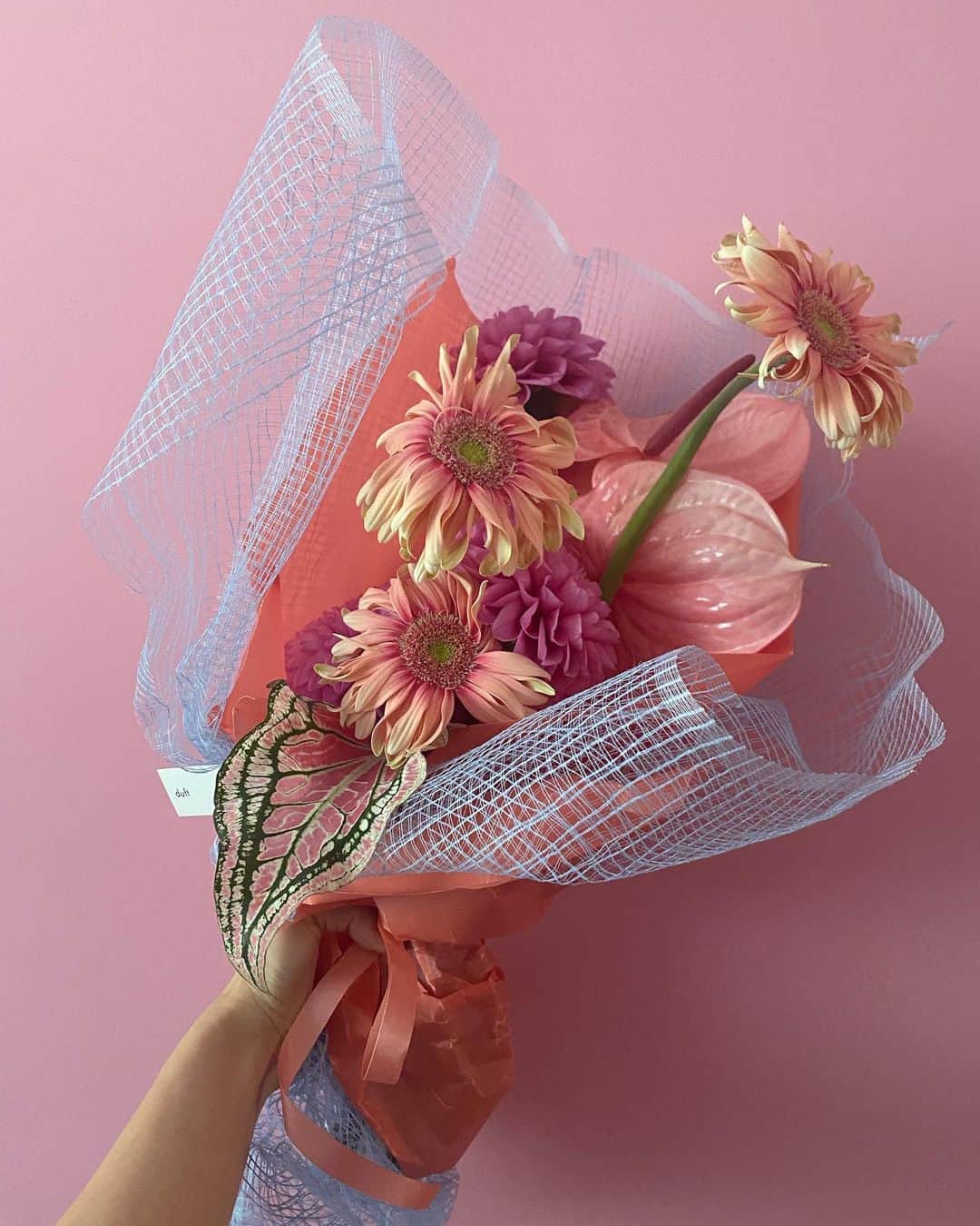 MEGUMIさんのインスタグラム写真 - (MEGUMIInstagram)「@emi__hanamura が 素敵なお花をくれました😭💖 ずーっと気になっていたお花屋さんので、本当に嬉しいわー🥹🥹 ありがとうー😍  @emi__hanamura gave me wonderful flowers 😭💖 It's a flower shop I've always been interested in, so I'm really happy 🥹🥹」9月26日 13時00分 - megumi1818