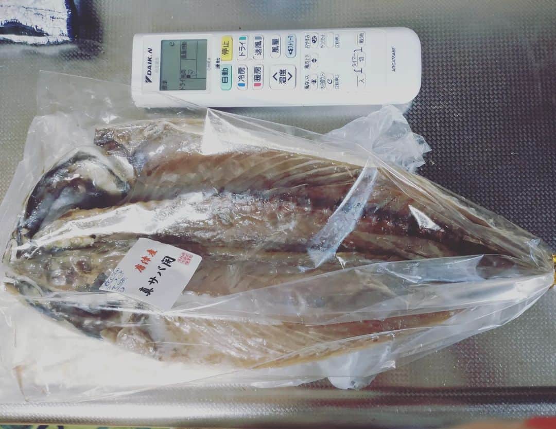 工藤亜耶のインスタグラム：「八百屋でデッカイ鯖を貰った。 お買い上げサービスだと。。。 太っ腹🤔 家の魚焼き機で、焼けるかなぁー。」