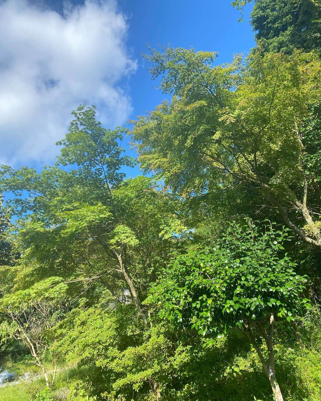 伴杏里さんのインスタグラム写真 - (伴杏里Instagram)「babyとお散歩👶🏻🤍🌳🍃  🍕🥯🍰🧁😋😋😋  #pic #nature #baby #sunnyday」9月26日 18時35分 - anri.ban