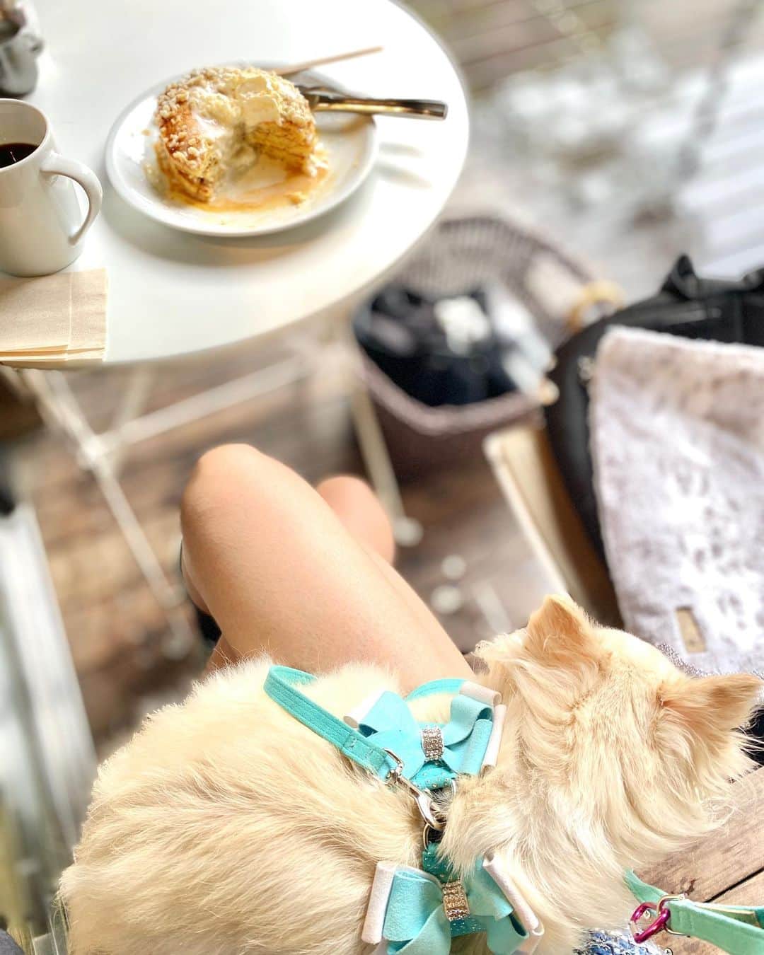 のインスタグラム：「狭いのに、くっつき虫💙 もぉ、本当かわいい❤️  はい😊親バカですね😚」