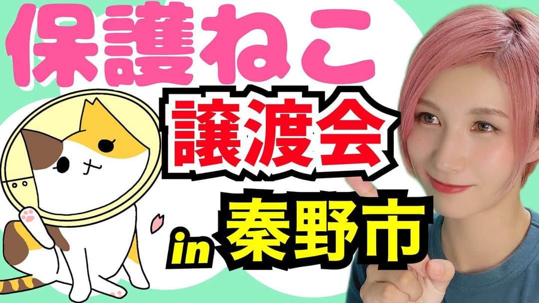 加藤優のインスタグラム：「.  先日、秦野市で開催された 保護猫ちゃんの譲渡会に行ってきました❗️  どんな猫ちゃんと出会えたのか…❓ 初めての譲渡会の感想などを語っております❗️  🔻動画はコチラ https://youtu.be/z4CpxTEd-_E  ［秦野市猫との暮らしを考える会］ ⭐️はだねこ 公式Instagram ▶︎ @hadaneko.11   #保護猫 #保護猫と暮らす #保護猫活動 #さくら猫 #はだねこ #秦野市猫との暮らしを考える会 #秦野市 #tnr #猫 #猫のいる暮らし」