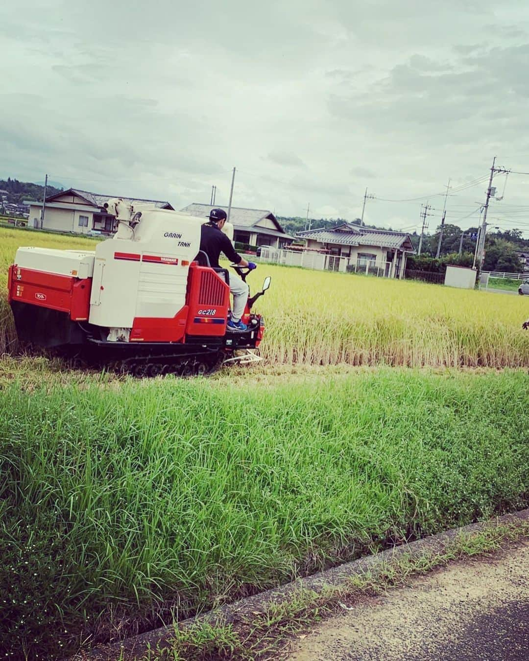 杉山翔大さんのインスタグラム写真 - (杉山翔大Instagram)「おすぎの休日。  なんと今日は稲刈りデビューしてしまいました笑 初重機。笑 自分がまさかこれに乗る日が来るとは…。笑 初めは操作が色々あってどうなるかと思いましたが、徐々に慣れてきて最後の方はスイスイ出来ました✌️ 途中やっていて楽しさすらありました笑  丸々1日やって思ったこと。 農家の人すげー。 暑いし、虫すごいし、何よりなかなか終わらない笑 こういった大変な作業をしてくれてる人がいるからこそ米や野菜、肉だったり食品関係が当たり前のようにスーパーで買えて食べられているんだなと思いました！感謝ですね。 生産者の方々には頭が上がりませんね。 実際は稲刈りしか携わってませんが、自分が刈ったお米とか美味いに決まってますよね笑  これからもこういった生産者さんが居るからこそ食にありつけてることを感謝して食べていきたいと思います！  生産者の皆さん！ありがとーーーーーー！  #杉山翔大  #重機むずい #けど楽しかった #食べることの喜び」9月3日 22時29分 - sugi45_cd