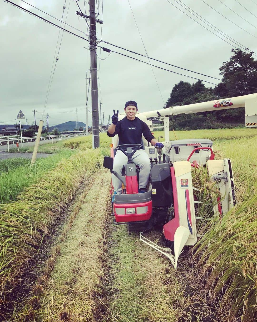 杉山翔大さんのインスタグラム写真 - (杉山翔大Instagram)「おすぎの休日。  なんと今日は稲刈りデビューしてしまいました笑 初重機。笑 自分がまさかこれに乗る日が来るとは…。笑 初めは操作が色々あってどうなるかと思いましたが、徐々に慣れてきて最後の方はスイスイ出来ました✌️ 途中やっていて楽しさすらありました笑  丸々1日やって思ったこと。 農家の人すげー。 暑いし、虫すごいし、何よりなかなか終わらない笑 こういった大変な作業をしてくれてる人がいるからこそ米や野菜、肉だったり食品関係が当たり前のようにスーパーで買えて食べられているんだなと思いました！感謝ですね。 生産者の方々には頭が上がりませんね。 実際は稲刈りしか携わってませんが、自分が刈ったお米とか美味いに決まってますよね笑  これからもこういった生産者さんが居るからこそ食にありつけてることを感謝して食べていきたいと思います！  生産者の皆さん！ありがとーーーーーー！  #杉山翔大  #重機むずい #けど楽しかった #食べることの喜び」9月3日 22時29分 - sugi45_cd