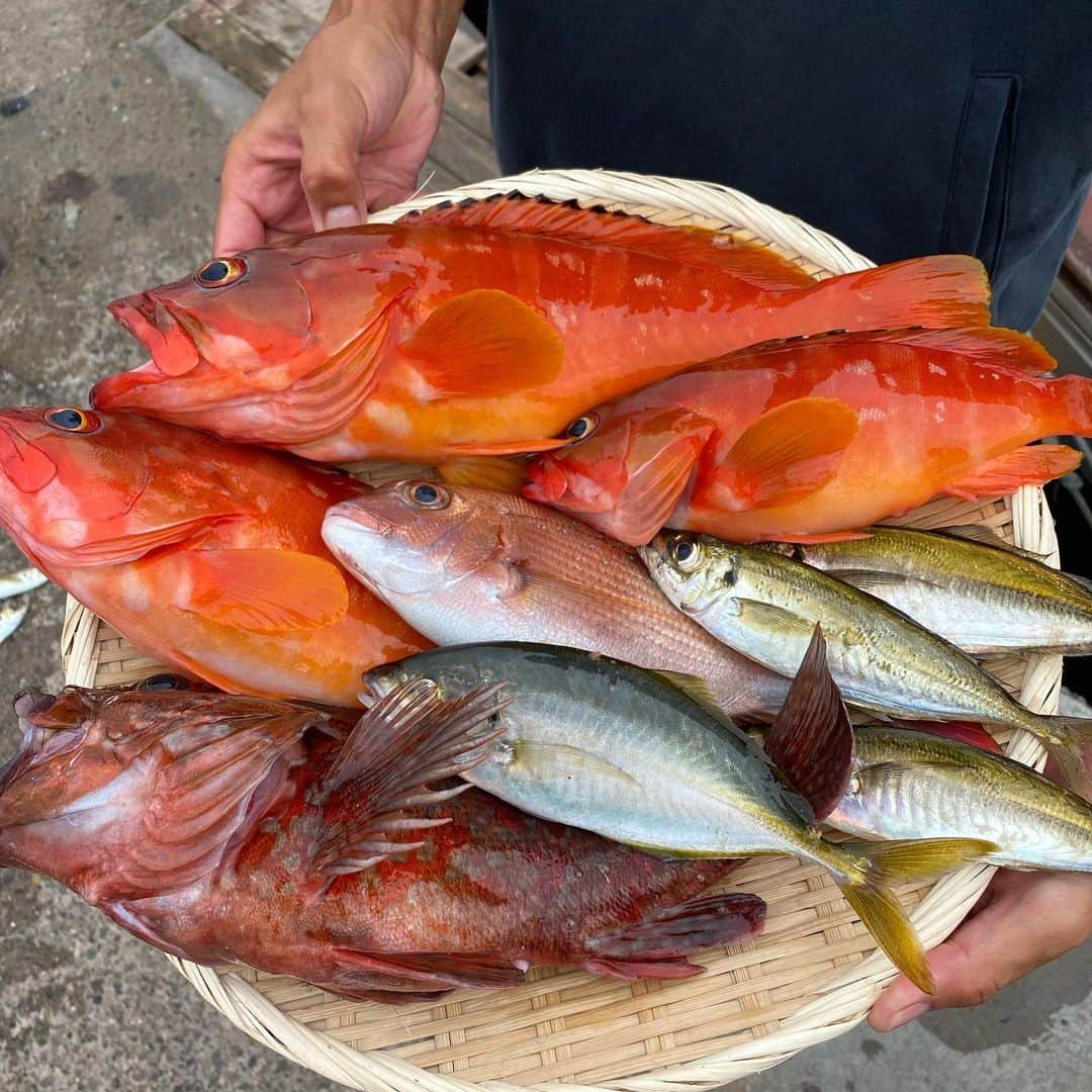 瀬戸山清香さんのインスタグラム写真 - (瀬戸山清香Instagram)「久しぶりに船釣りして来たー！🎣 今回は大物狙おう！！てみんなで張り切って釣りました！ 私釣ったやつなんて名前か忘れたな🐟（笑） ヒラメ釣りたかったのに、釣れなかった😩💦💦 とっても惜しかったからまたリベンジして今度こそ釣りたい！！✨ さ、明日の仕事も頑張ろう！！ とりあえず眠いわ🥱💤 釣り楽しい🎣㊗️🎉  #釣り #fishing」9月3日 16時56分 - setoyama_sayaka