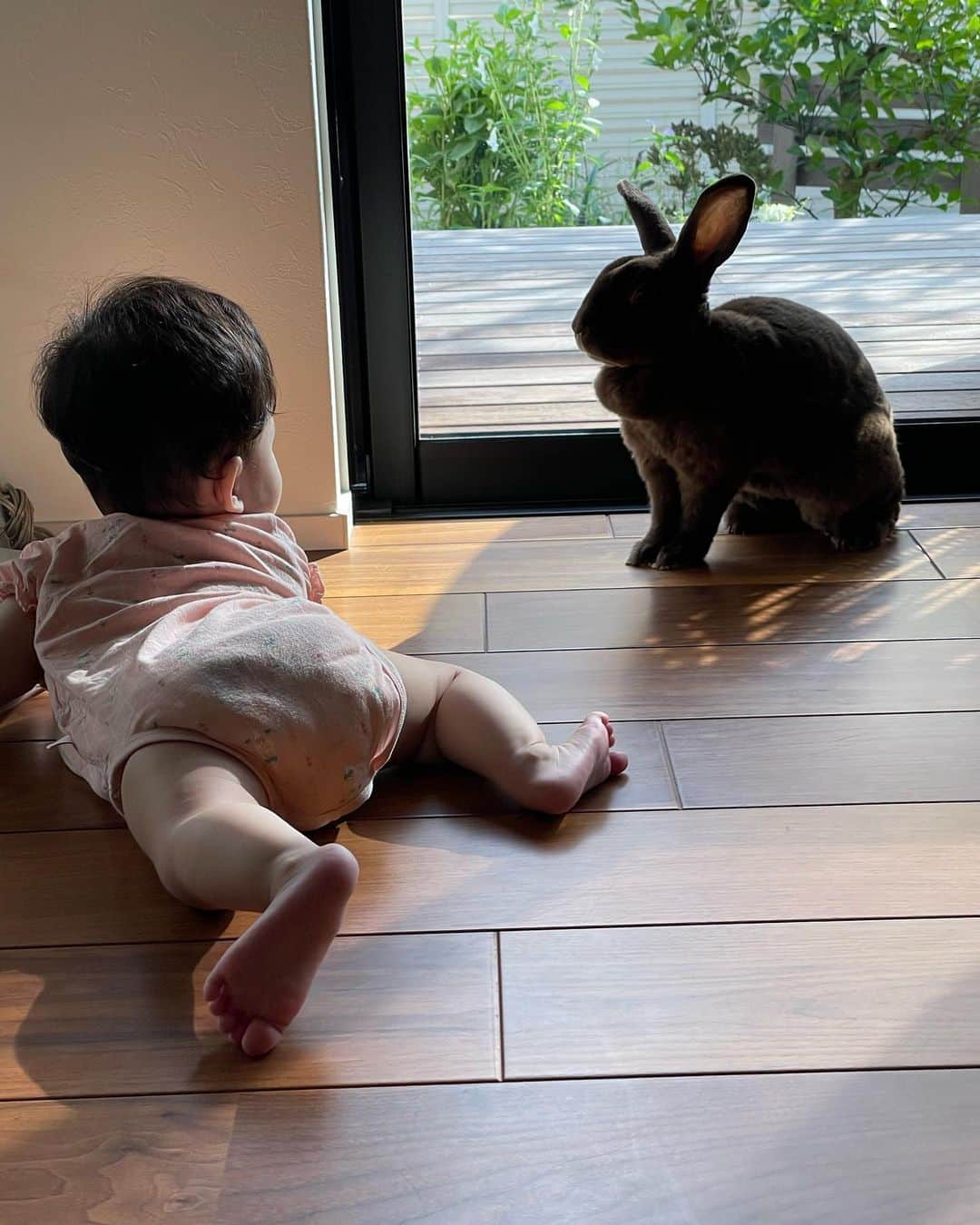 小島瑠璃子のインスタグラム：「👶🏻🐰 姪とうさぎ。」