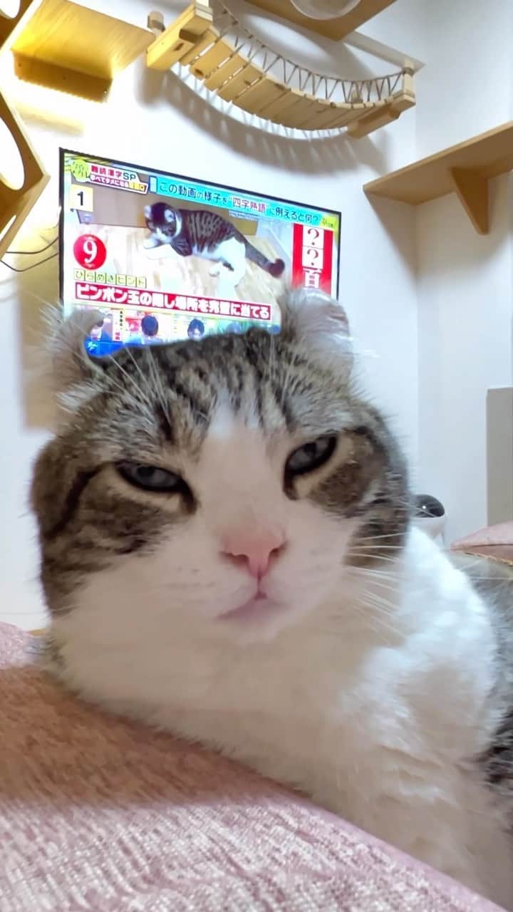 スノーのインスタグラム