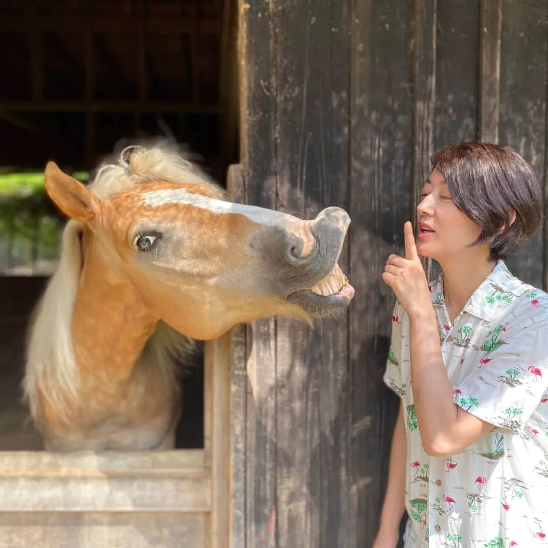 佐藤藍子さんのインスタグラム写真 - (佐藤藍子Instagram)「静止画でーす ショート藍子、 よろしくお願いしまーす #ショートカット#ショートにしました#ヘアカット#ハフリンガー#ドレッサージュハフリンガー#ポニー#ドレッサージュポニー#aikosato #佐藤藍子」9月4日 16時01分 - sato_aiko_official