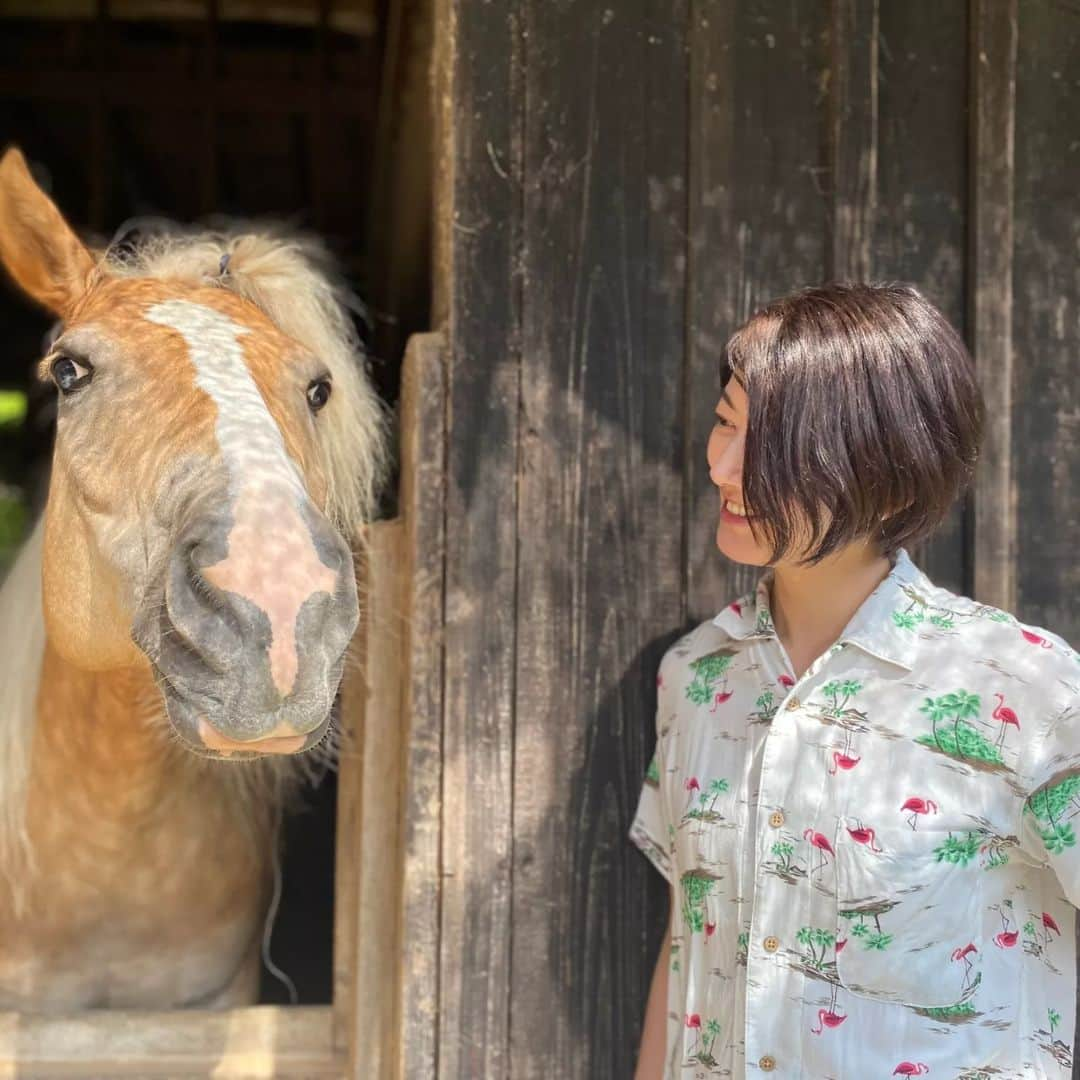 佐藤藍子さんのインスタグラム写真 - (佐藤藍子Instagram)「静止画でーす ショート藍子、 よろしくお願いしまーす #ショートカット#ショートにしました#ヘアカット#ハフリンガー#ドレッサージュハフリンガー#ポニー#ドレッサージュポニー#aikosato #佐藤藍子」9月4日 16時01分 - sato_aiko_official