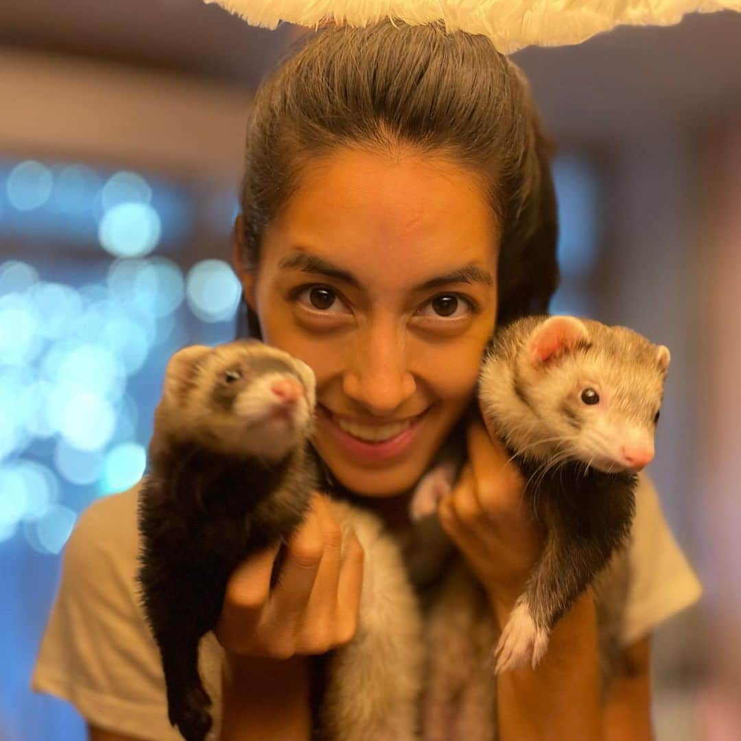 森泉さんのインスタグラム写真 - (森泉Instagram)「Perl🤍& Baby🤎 #フェレット #ferret」9月4日 14時28分 - izumi.mori