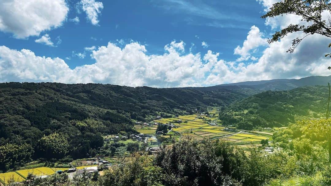 のインスタグラム：「🌳🌤🌳」