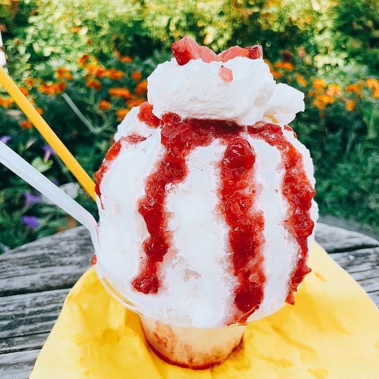 吉岡聖恵のインスタグラム：「夏の思い出のせておきます🍉  かき氷屋さん探して行ってきた❕  みんなみんなで、体調、気をつけていきましょう💪  #スイーツ続き #スイー続き #スイーツ好き #というわけでもなかったが #最近甘党かもです」