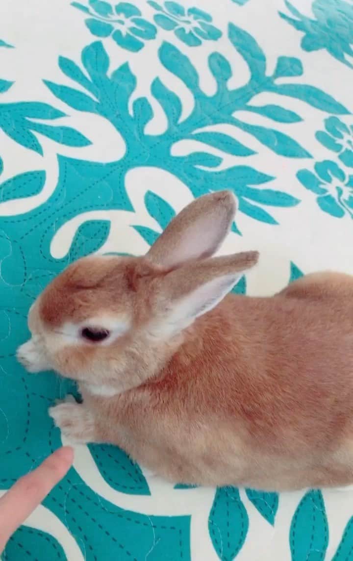 吉山りさのインスタグラム