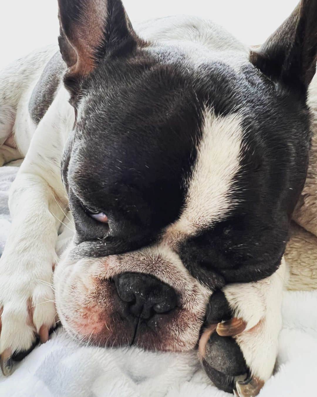 アムのインスタグラム：「まだ眠たいYO....」