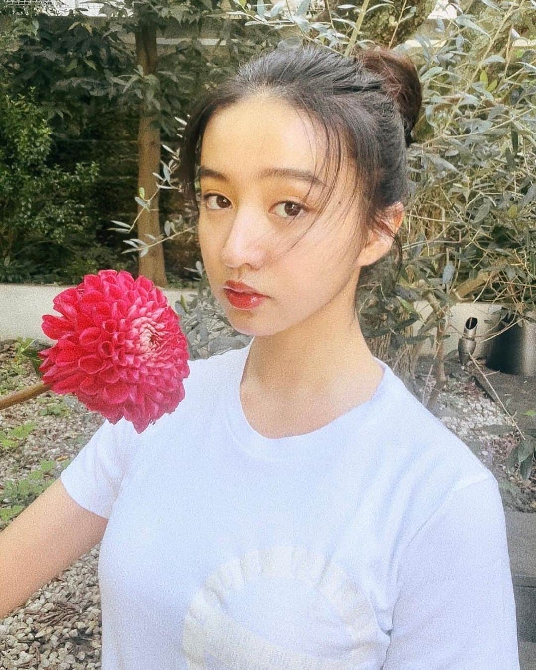 のインスタグラム：「綺麗な赤いダリア  T shirt @louisvuitton」