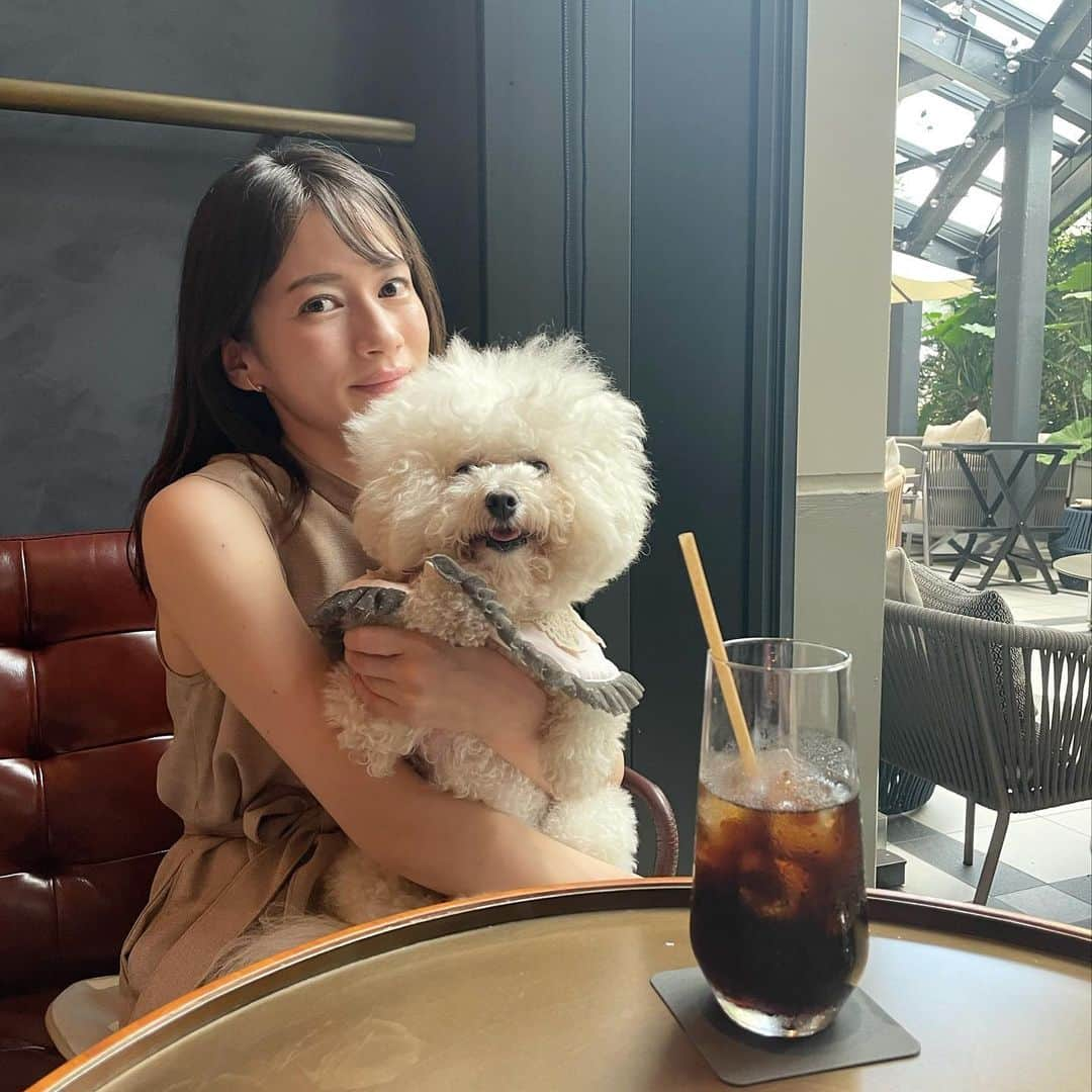 宇内梨沙さんのインスタグラム写真 - (宇内梨沙Instagram)「ドッグフレンドリーなキンプトンホテル🐶 居心地よかったな✨テラス席も気持ちよさそう😊」9月5日 16時04分 - risaunai