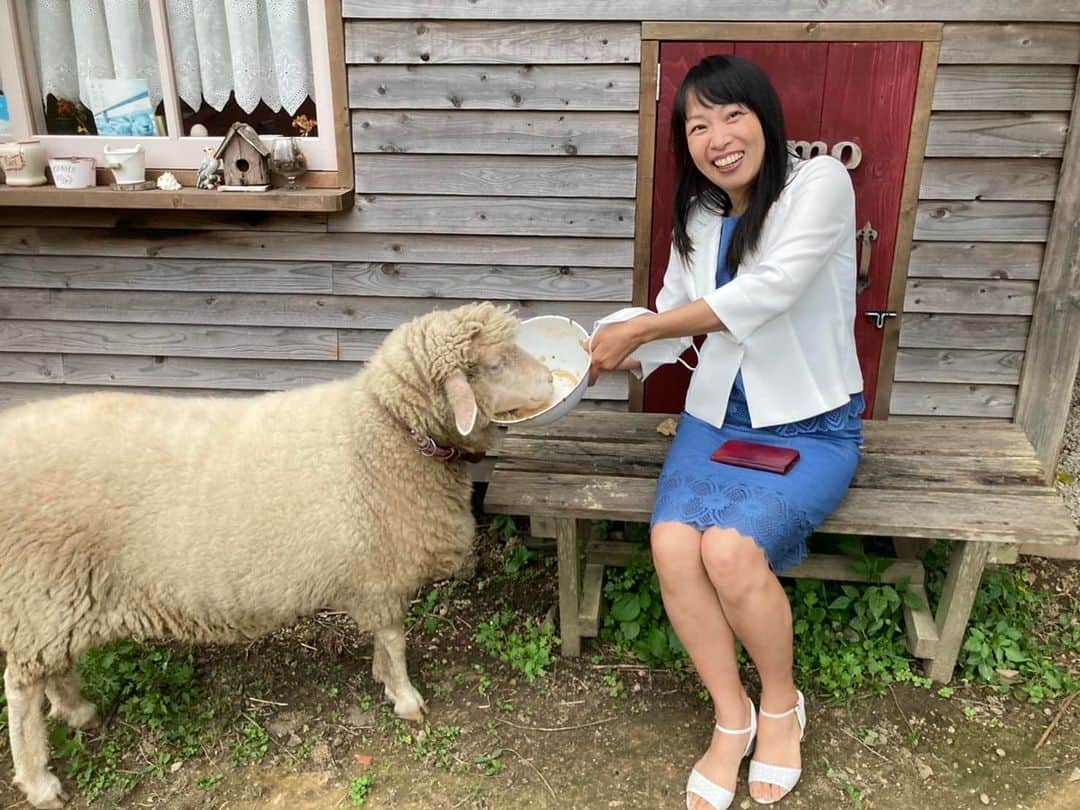 岡本依子のインスタグラム：「明日、私の誕生日です🎂^_^ ドリームテコンドースクールの創立記念日です❗️ いろいろありますがここまで来れましたこと、本当に感謝しかありません。 ありがとうございます🙇‍♀️  神様が皆さんを祝福してくださいますように💖  2年連続で、当日はバタバタと通り過ぎてしまいそうです^^;  感謝を忘れずに頑張ります❣️  梅光学院の後藤先生の羊のももちゃん🐑 私も農園で羊が飼いたいと思いました✨✨」