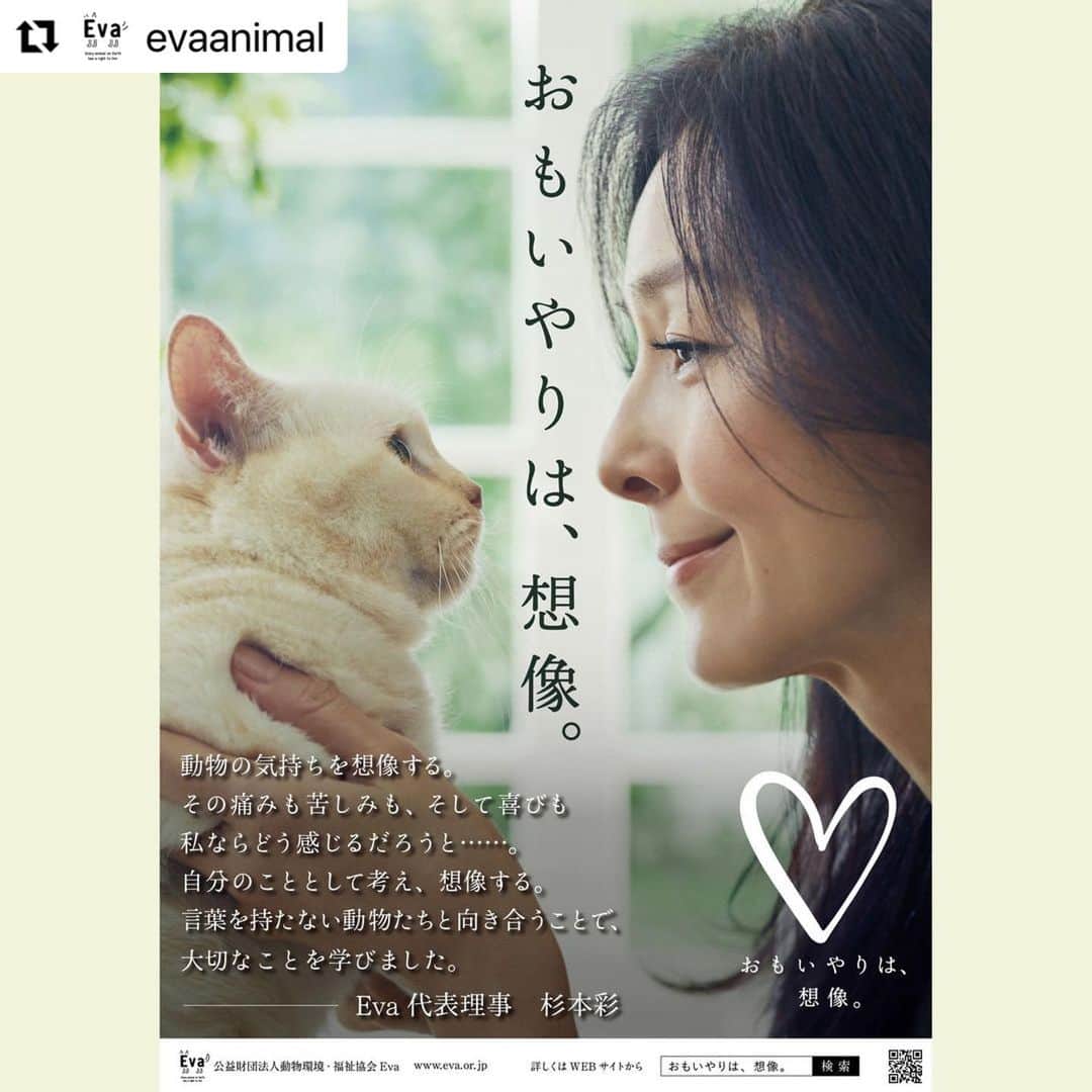 杉本彩のインスタグラム