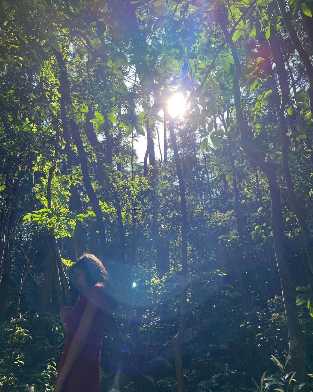 片山萌美のインスタグラム：「🌿 #moemikatayama」