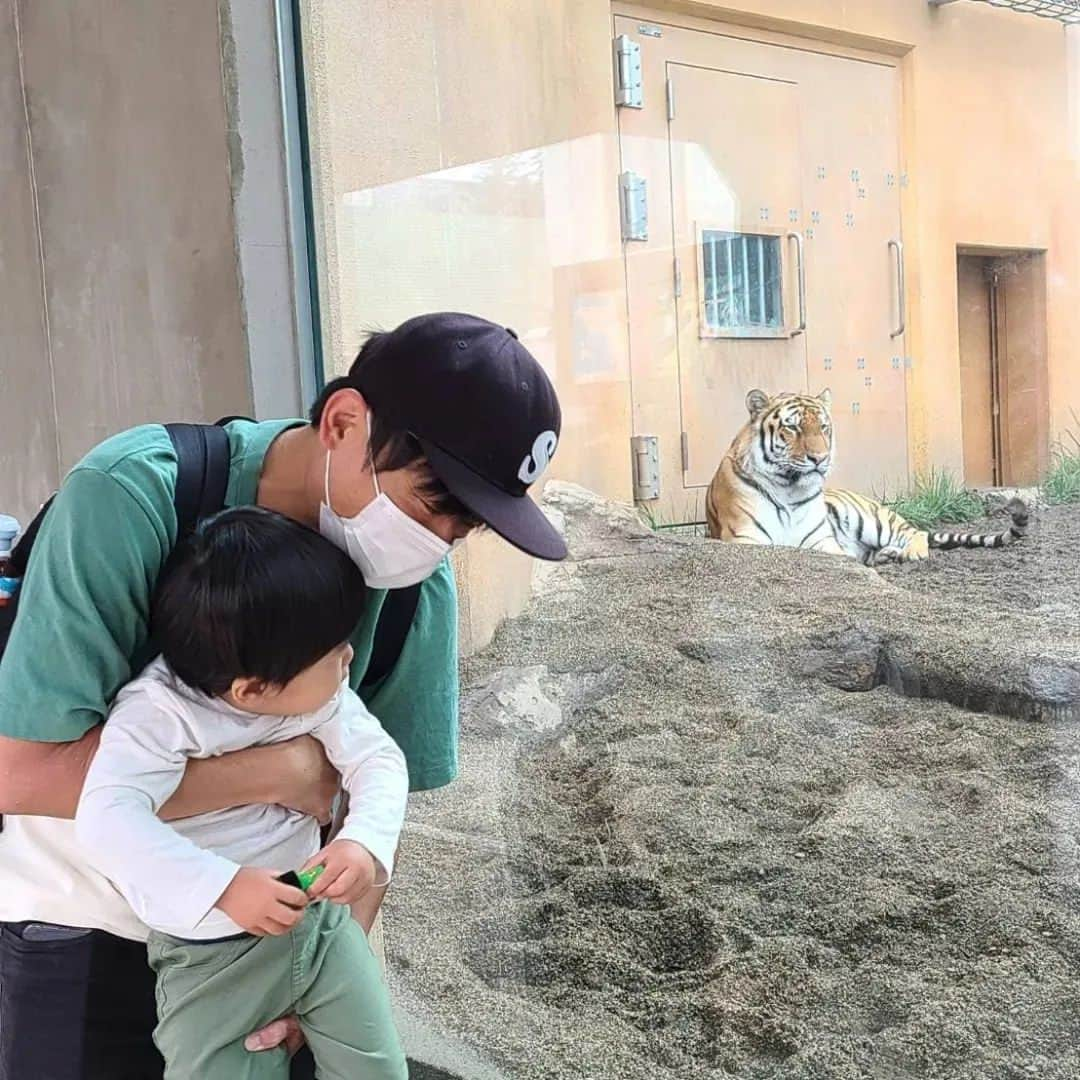 カトゥー直也のインスタグラム：「どや！？  顔マネや！  １枚目 フムフムなるほどな・・・  2枚目 こんな感じやろ？  3枚目 ・・・どうでもええか～🥱  だそうです。  #2歳 #令和生まれ #育児 #初めての育児 #男の子 #新米パパ #6月生まれ #お笑い芸人の息子 #カトゥー #おげんこ #ベビライフ  #2020年ベビー #マセキ芸能社 #阪神ファンと繋がりたい  #阪神タイガース #今成亮太チャンネル #片岡鶴太郎 #V6坂本くん #ちょっと残念なV6 #V6 #那須高原 #那須どうぶつ王国 #虎 #那須塩原 #アムール虎 #顔マネ」