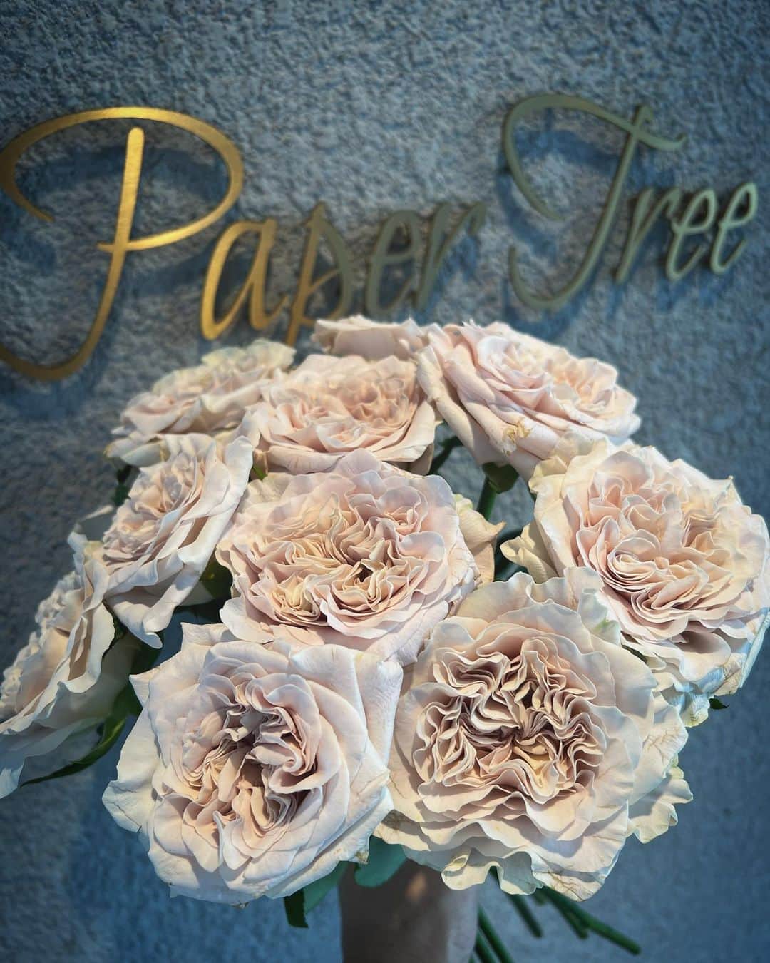 畑野ひろ子のインスタグラム：「昨日の、　@willgarden_official  レッスンで仕入れた、ウエストミンスターアビー🌹  絶妙な色味は勿論、香りと巻きの美しさにうっとり🥰」