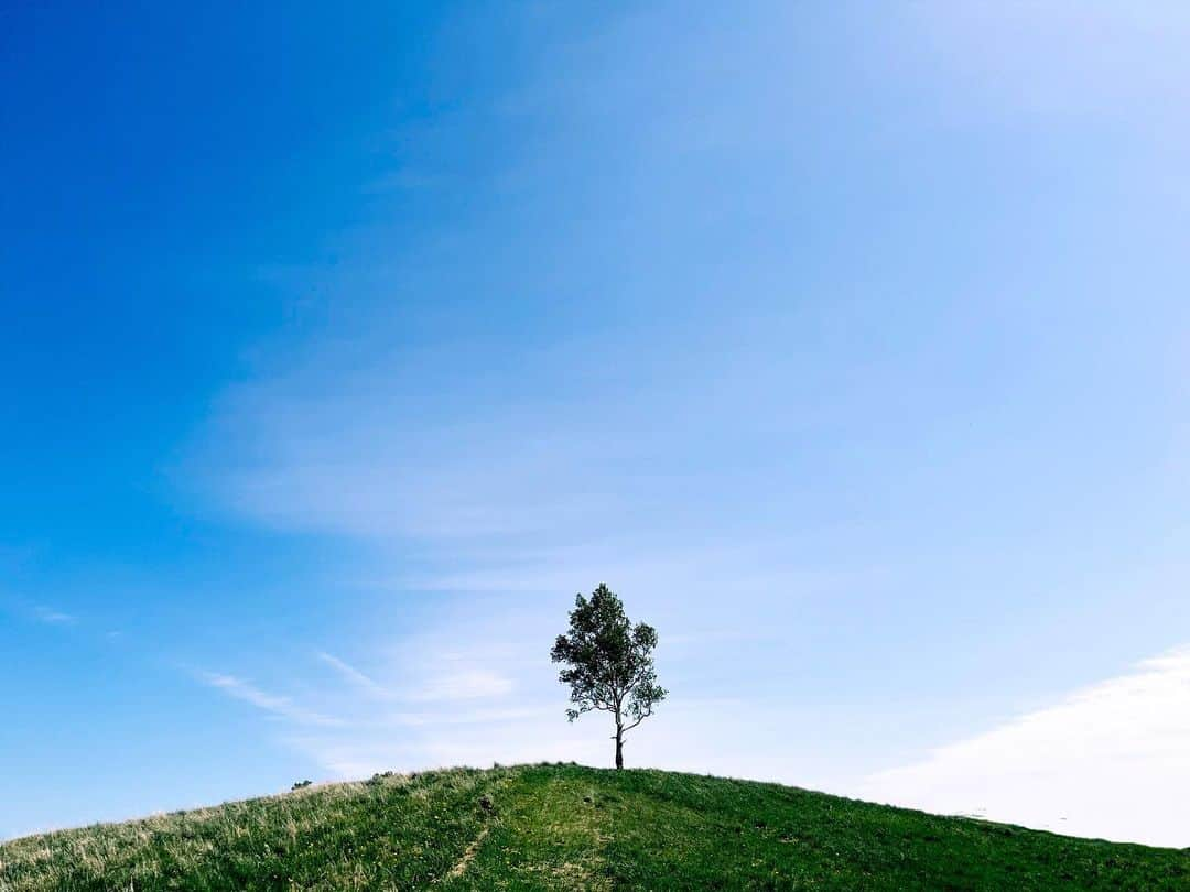 ericonbuのインスタグラム：「#🌳  去年の暑さを期待してた夏も 今年は来ませんでした😭 真夏日は3日だけ 熱帯夜は0だって…  とっくに秋の模様🥲 . . この丘でトレイルランのぐるぐるレースするとか！ その時は参加したい😍」