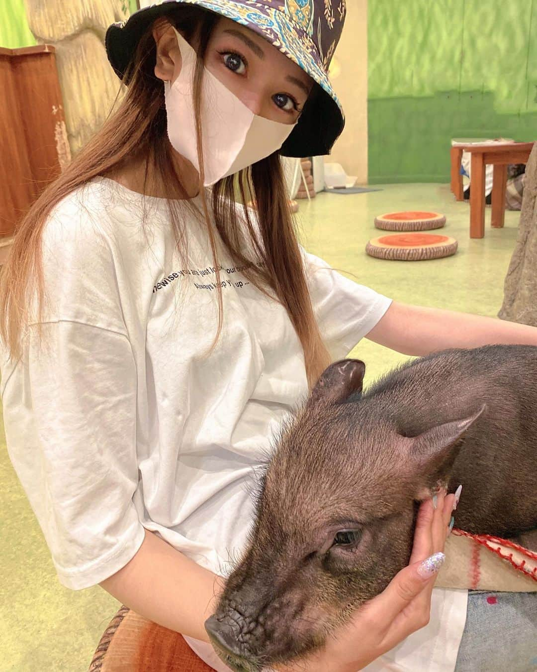 桜ゆみさんのインスタグラム写真 - (桜ゆみInstagram)「. 久しぶりの🐷🐷パラダイス🐷🌈 マイクロぶたさんに会ってきた〜😍 前通ってた目黒店は遠いから原宿に行ったよん🐖 広いお部屋にたくさんのぶたさん🫶 みんなお膝に乗ってくれて感動😭💖💖 めちゃ癒された〜🥹！ アンさんはお膝に乗ってくれないからね…🤣  またいこーっと♥️♥️♥️ . #mipigcafe #mipigcafeharajuku  #etoileboutique #エトワール」9月8日 12時42分 - yumi.sakura1111