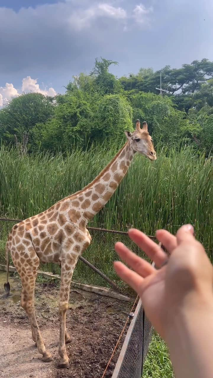 野崎萌香のインスタグラム