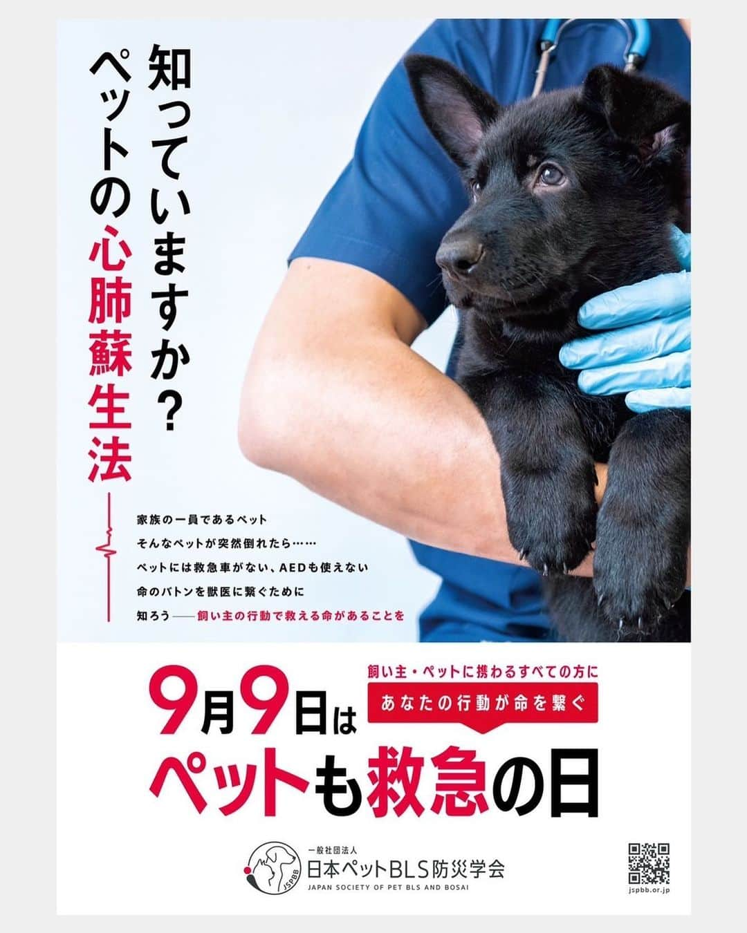 川上麻衣子のインスタグラム：「知ってましたか？ 本日は 『ペットも救急の日』なんです！ YouTubeにもご出演頂いた 地区防災研究所　所長山本大樹さんが 携っています！ 是非チェックを！  https://jspbb.or.jp/」
