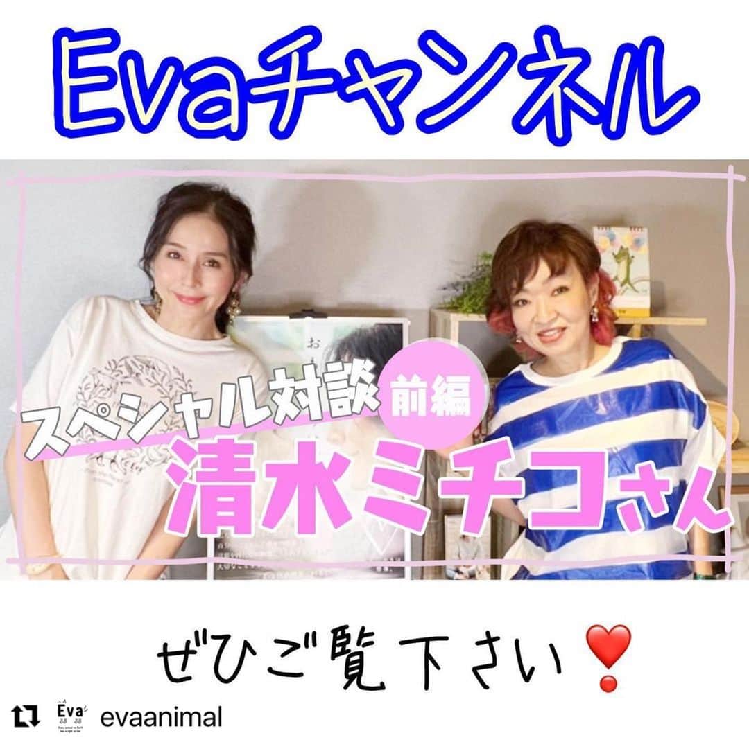 杉本彩のインスタグラム：「#Repost @evaanimal with @use.repost ・・・ Evaでは9月を「動物愛護月間」と位置づけ、素敵で楽しいゲストの皆さまをお招きし、今月は”スペシャル対談”をお届けします！  第一回目のゲストは、理事長杉本のものまねもやってくださっている、ものまね女王の清水ミチコさんです！  清水さんはアケビちゃんとチビちゃんという、2匹の猫ちゃんと暮らしていらっしゃいます。  アケビちゃん、チビちゃんとの出会いから、2匹の相性、ケンカになるときのお話しなど.... Evaチャンネル始まって以来の、未だかつてない抱腹絶倒対談！！です。 是非お見逃しなく！！！  ■#70 【スペシャル対談 清水ミチコさん（前編）】 動物愛護月間2022特別企画！ 未だかつてない抱腹絶倒対談！！ 杉本彩がものまね女王清水ミチコさんと語る「エロスから愛護まで」 https://youtu.be/B1dEyxyH__o 🔸プロフィールからリンクしています！  【清水ミチコ様プロフィール】 1960年、岐阜県出身。 1983年にラジオ番組の構成作家としてキャリアをスタート。 1986年には渋谷ジァンジァンにて初ライブを開催。 フジテレビ系『笑っていいとも』や『夢で逢えたら』にレギュラー出演。 ”ものまねの女王”と称され、女優、ナレーター、エッセイストと幅広く活躍。 最近では、8月24日に自伝エッセー本「カニカマ人生論」（幻冬舎）が出版。 また、11月11日より全国ツアー「清水ミチコ リサイタル ～カニカマの夕べ～」（“裏テーマ”は「祝ユーミン50周年！」）がスタート。  ●4325.net - 清水ミチコオフィシャルHP https://4325.net/ ●清水ミチコのシミチコチャンネル https://www.youtube.com/channel/UC43KSVyRxlUGDaL09wRjxLA  ■「おもいやりは、想像。」2022啓発ポスター・チラシ無償配布！ https://www.eva.or.jp/2022poster  #清水ミチコさん #動物愛護月間 #動物愛護週間 #杉本彩 #アケビちゃん #チビちゃん #猫 #犬 #啓発ポスター「おもいやりは、想像。」 #Evaチャンネル」