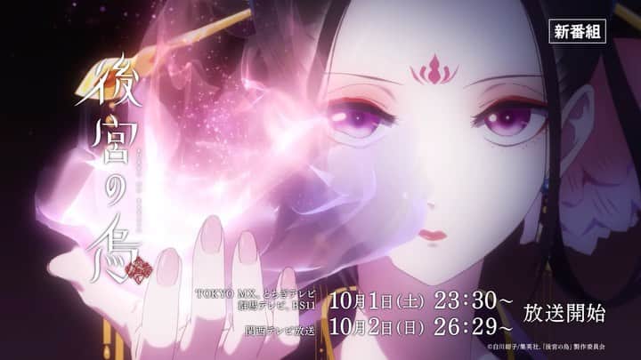 女王蜂のインスタグラム
