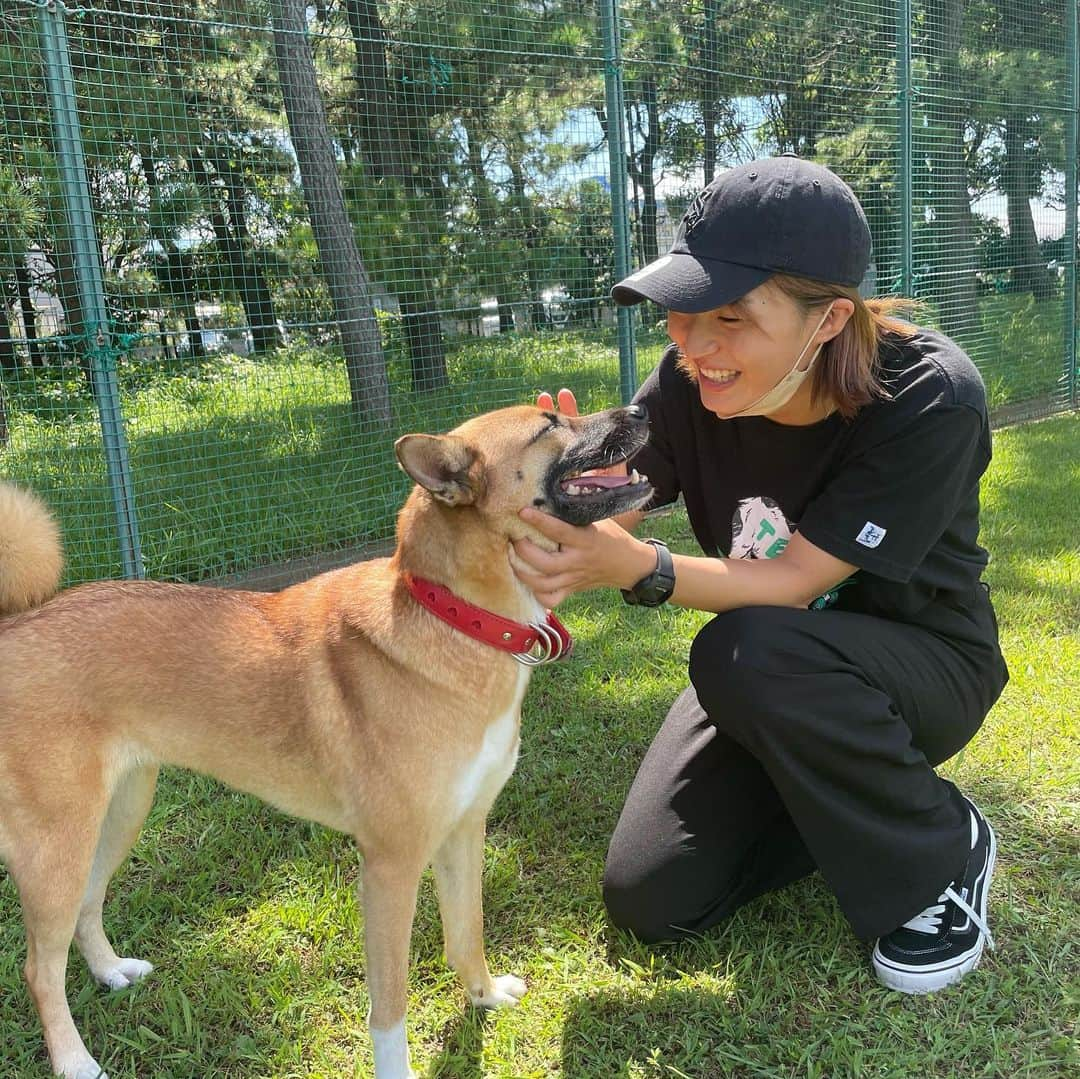 富田真紀子のインスタグラム：「昔一緒にラグビーしてた福島わさなが、ドッグトレーナーになったとのことで、ななのトレーニングしてもらった❣️  ななは爪切りが本当に嫌いで、サロン行っても暴れちゃうし、自分でやるのもよくわからなかったから、 【爪が切れるようになりたい】 っていうオーダーさせてもらって。  爪切り見せるだけで過剰に反応してたのに、 最後はよだれがダラダラでてきちゃうような感じになって、 私もこうやって好きにさせるのか❗️ってめちゃくちゃ勉強になった❗️  色んなドックトレーナーがいると思うけど、わさなは遊びの延長でおやつやコマンドで、いかにストレスなく好きにさせるかっていうトレーニング方法だったから、すごい安心した🥰  出張可能なので、興味ある方はDMで相談してみてね▶︎▶︎▶︎ @fukuwasa   わさな、ありがとう❣️  #ドッグトレーナー  #爪切り #好きにさせるトレーニング」